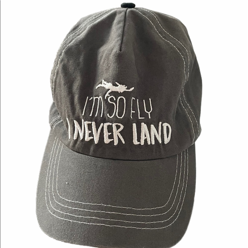 Disney Peter Pan Hat